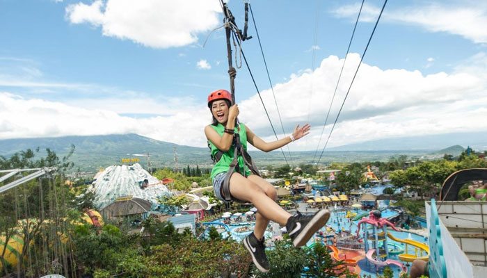 Flying Fox Selecta