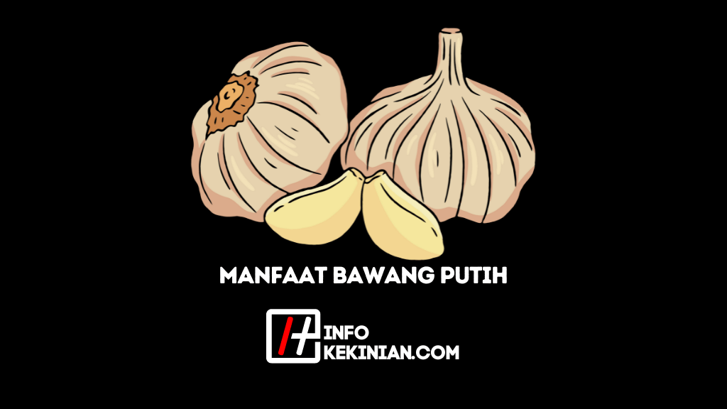 Ini Dia Manfaat Bawang Putih Untuk Kesehatan Tubuh Penting Kamu