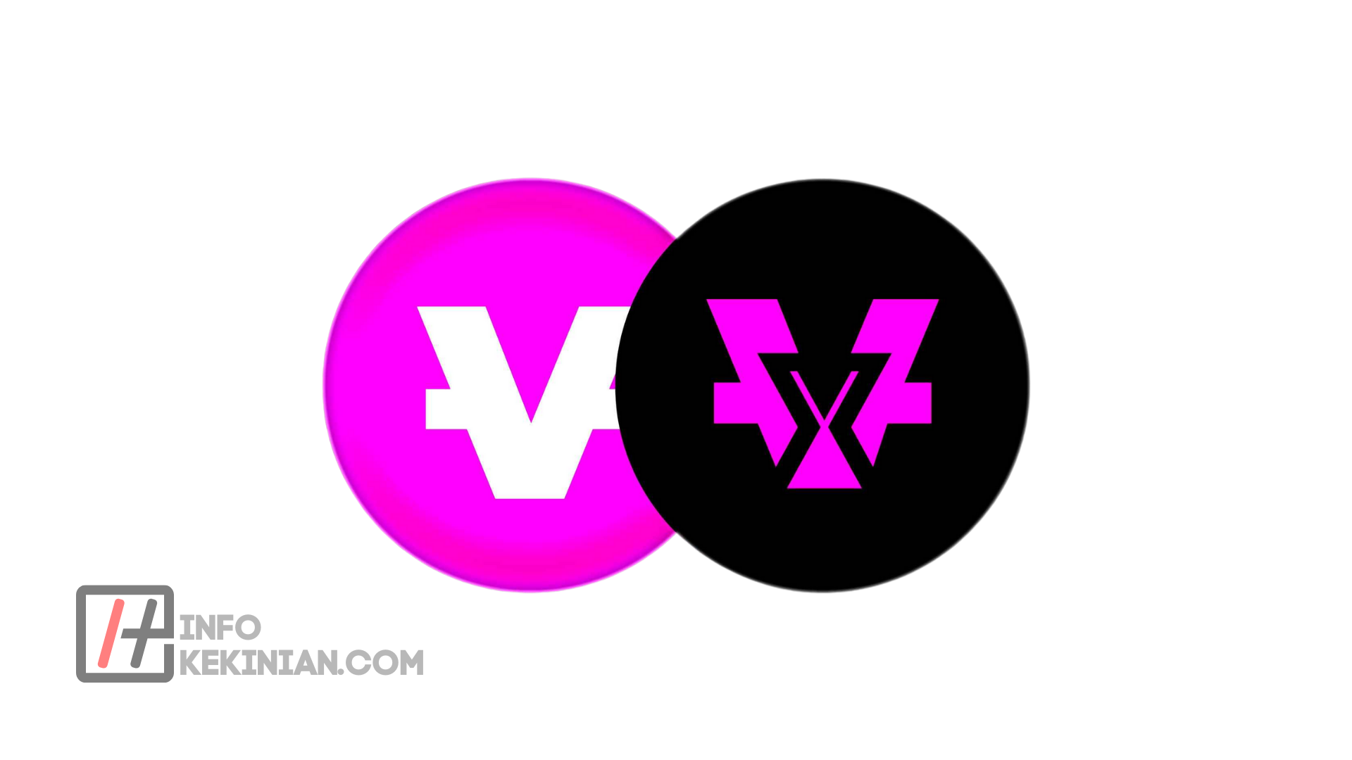 Apa itu Vidycoin? Perbedaan Token Vidy dan VidyX