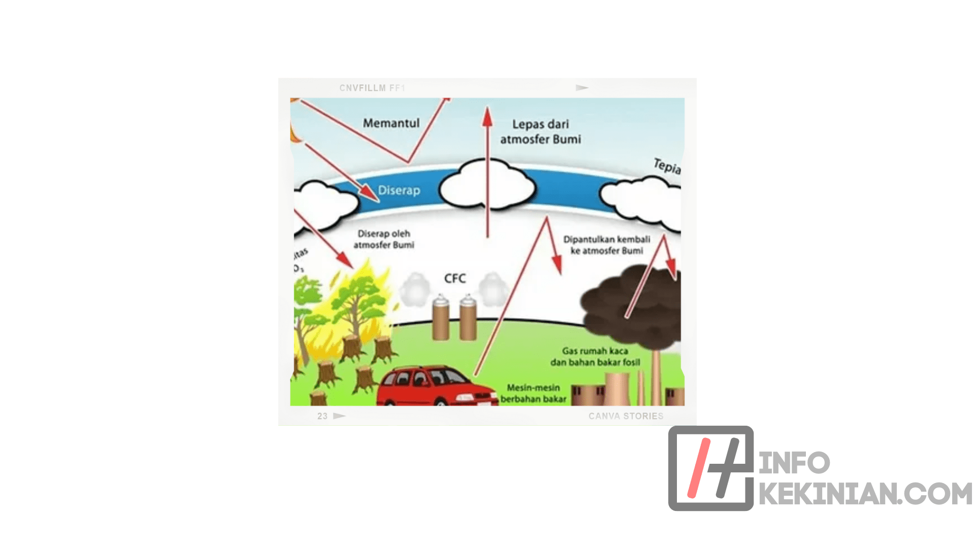 Pembakaran dan Penebangan Hutan