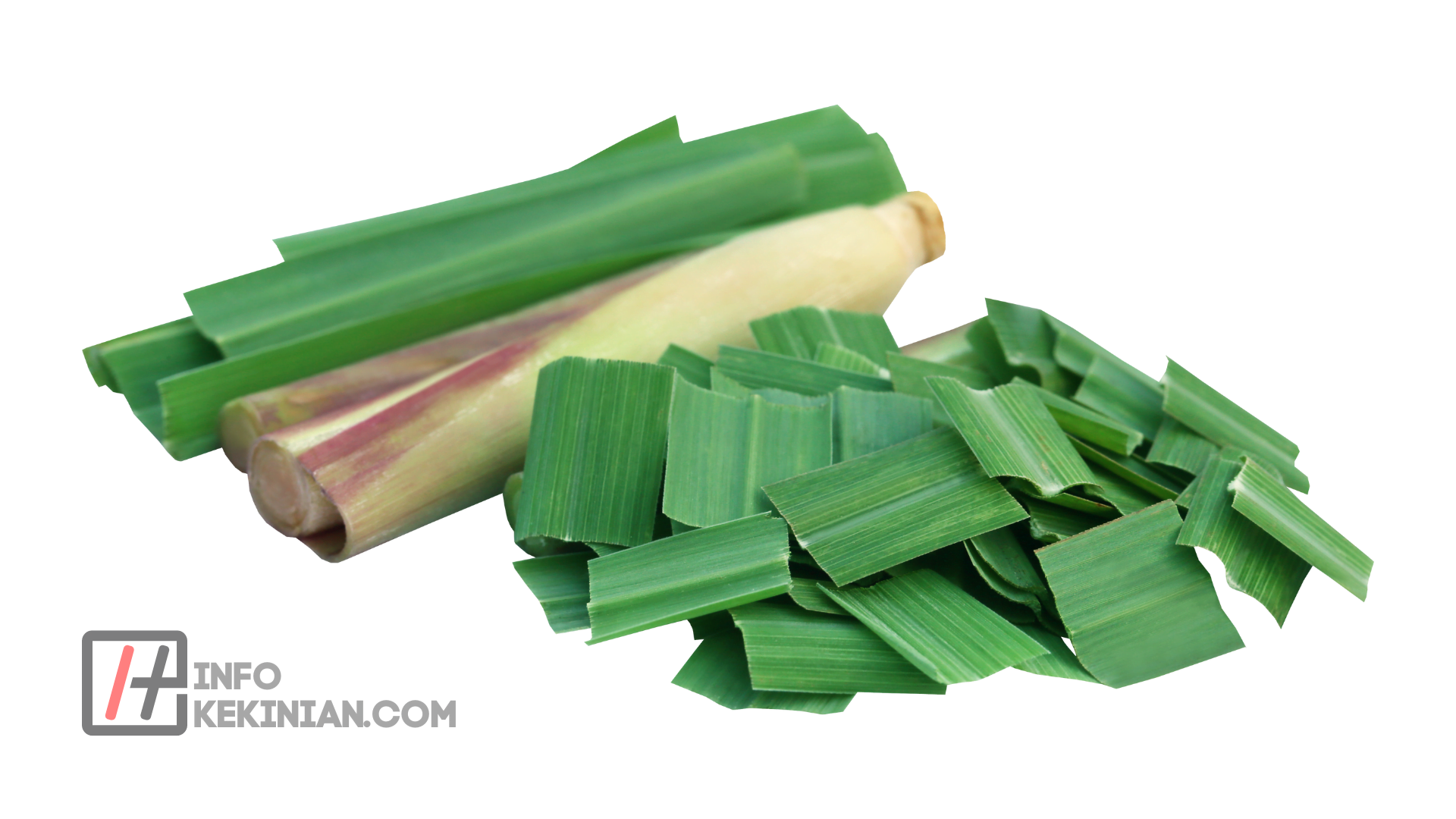 Daun Serai yang Ampuh Usir Nyamuk
