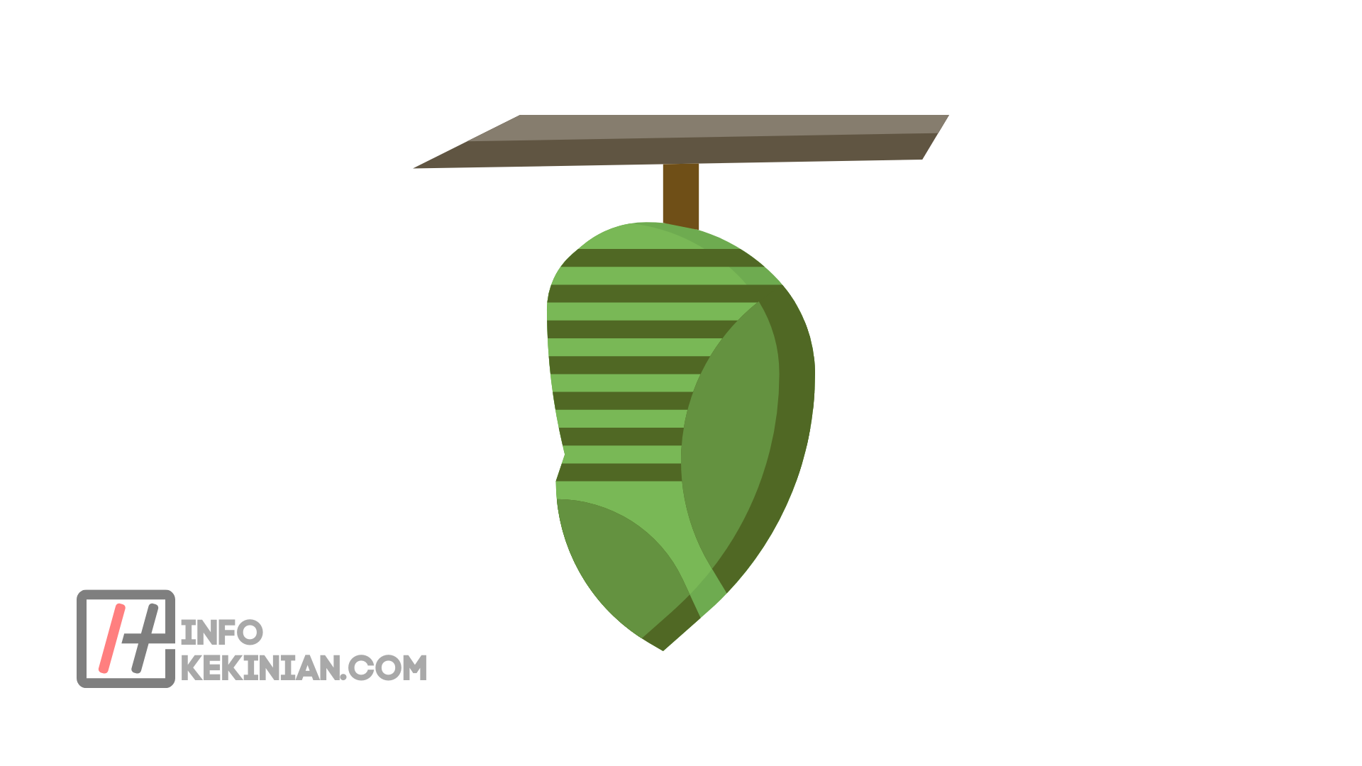 Fase Kepompong (Pupa)