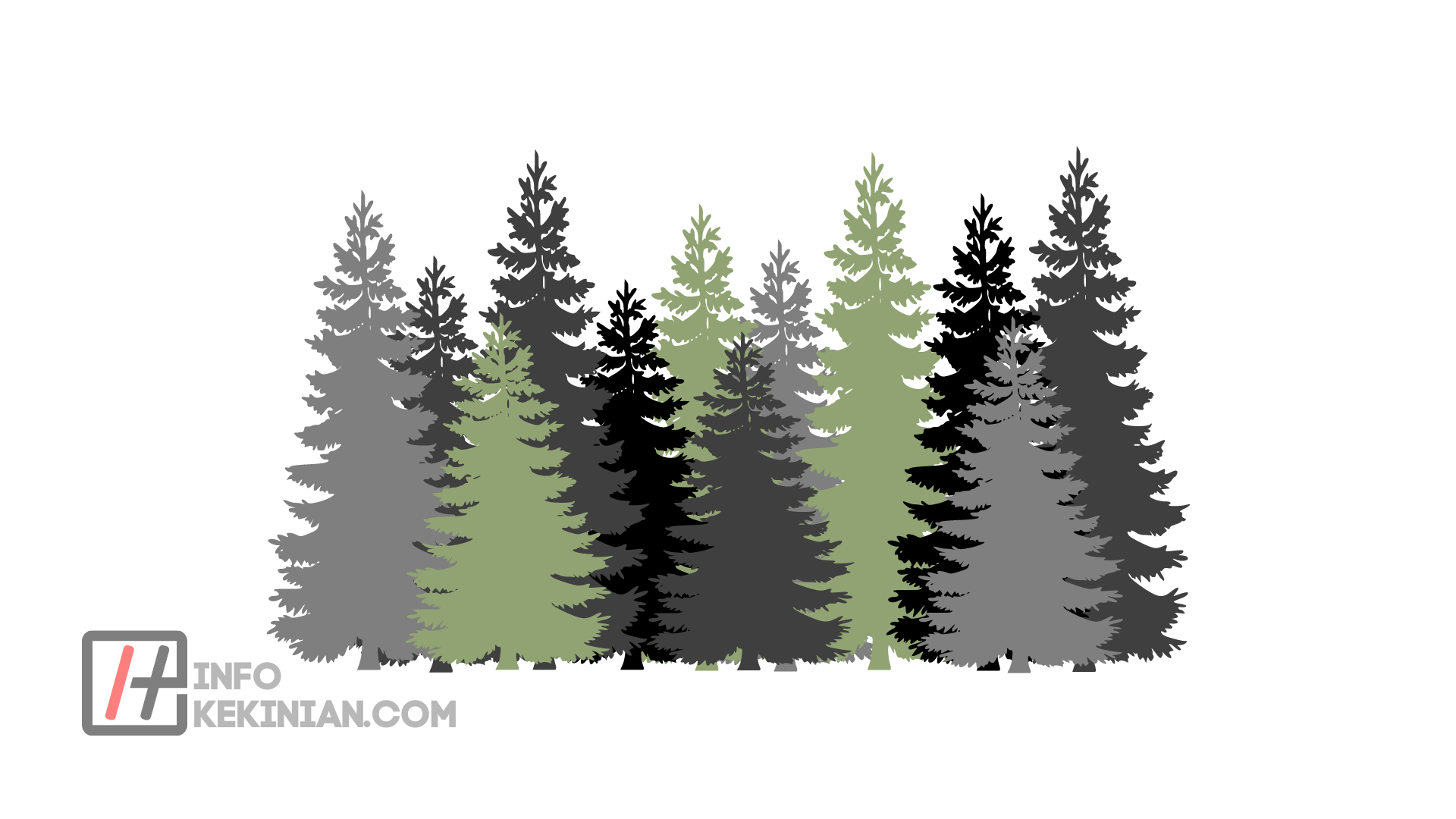 Hutan pinus