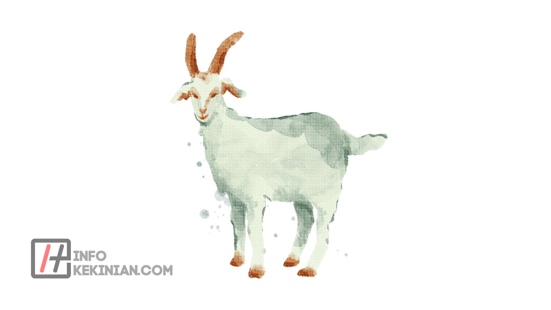 Pemilihan Jenis Kambing