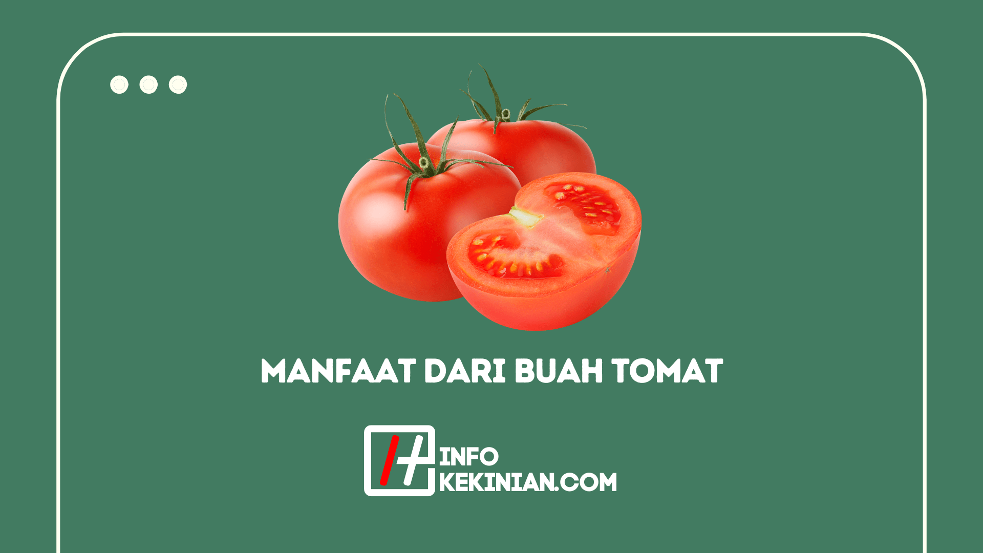 12 Manfaat Dari Buah Tomat Untuk Kesehatan Tubuh