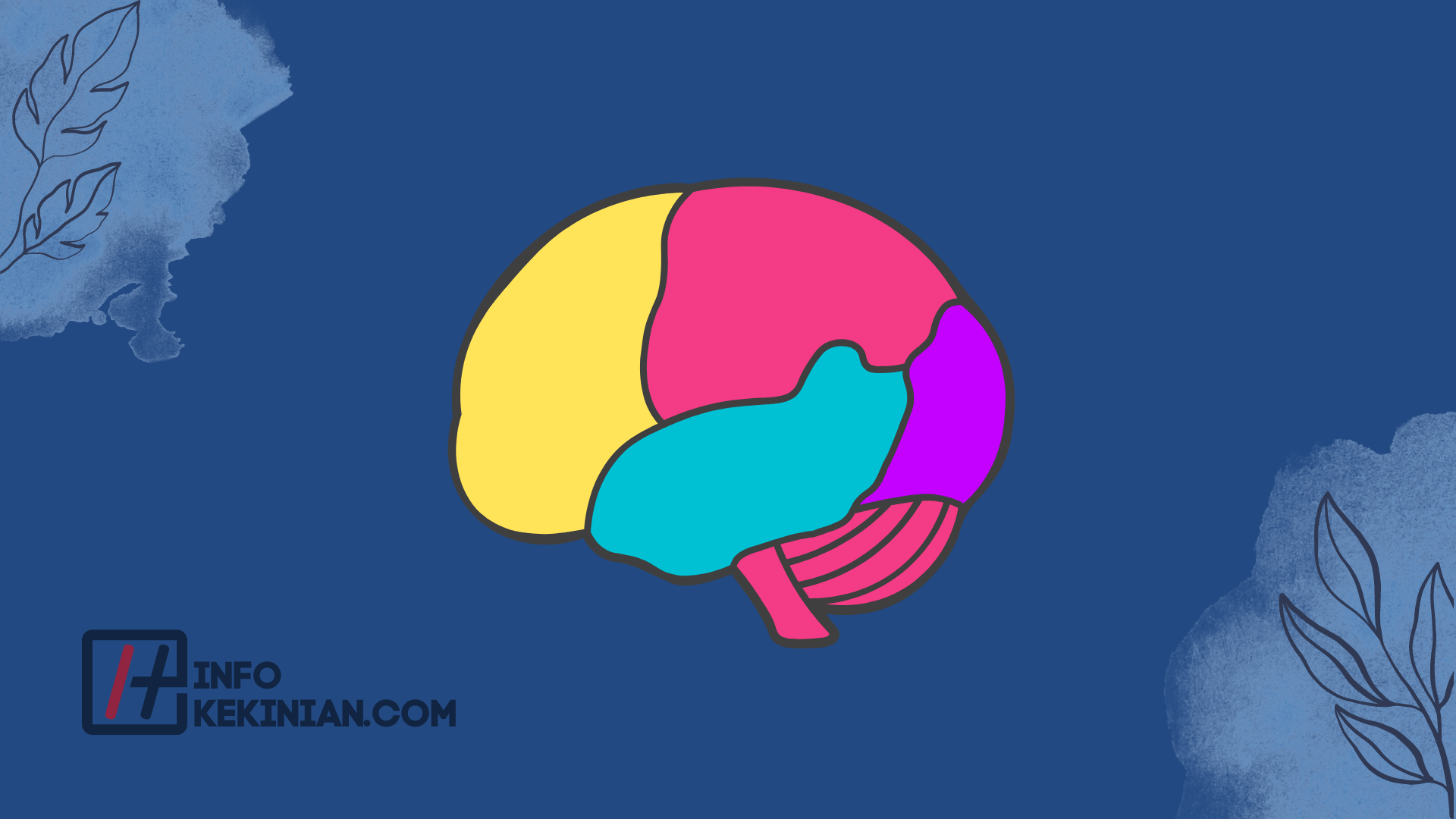 Thalamus