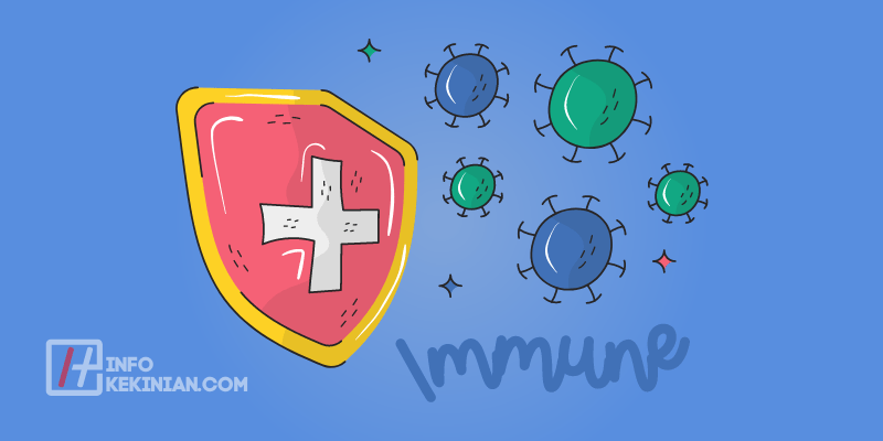 Mengenal Sistem Kekebalan Tubuh Ini Cara Menjaga Kesehatannya