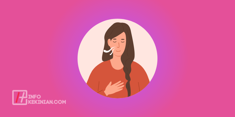 Organ Sistem Pernapasan Bawah
