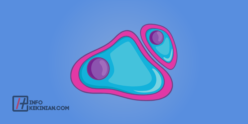 Struktur Ribosom