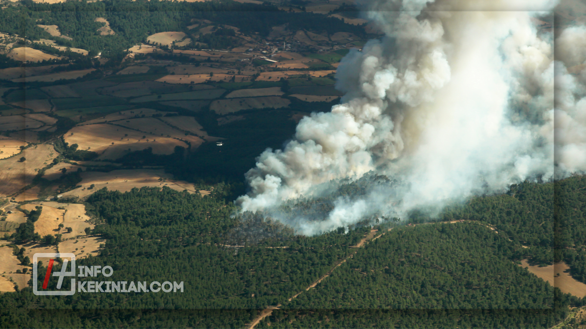 Pembakaran Hutan dan Lahan