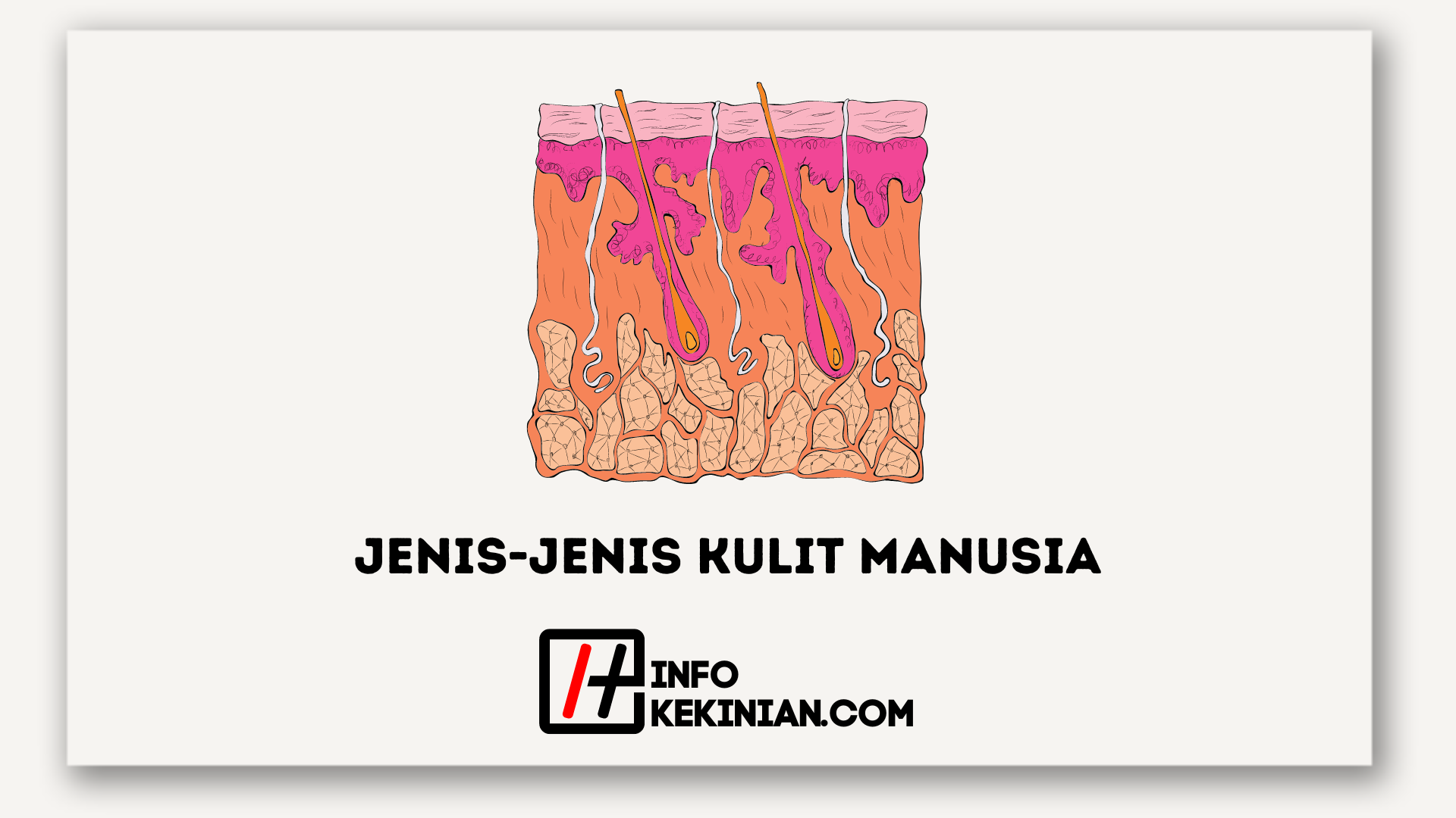 5 Jenis Jenis Kulit Manusia Yang Mungkin Belum Kamu Ketahui