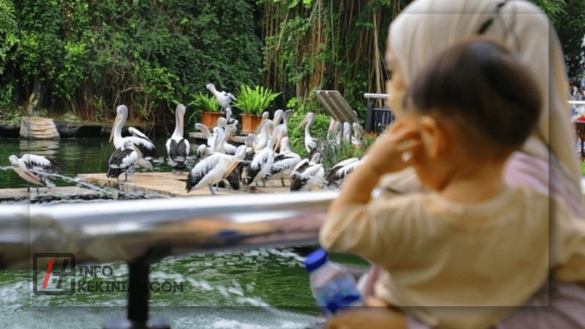 Cerita Pendek Tentang Liburan Sekolah Seru di Ragunan