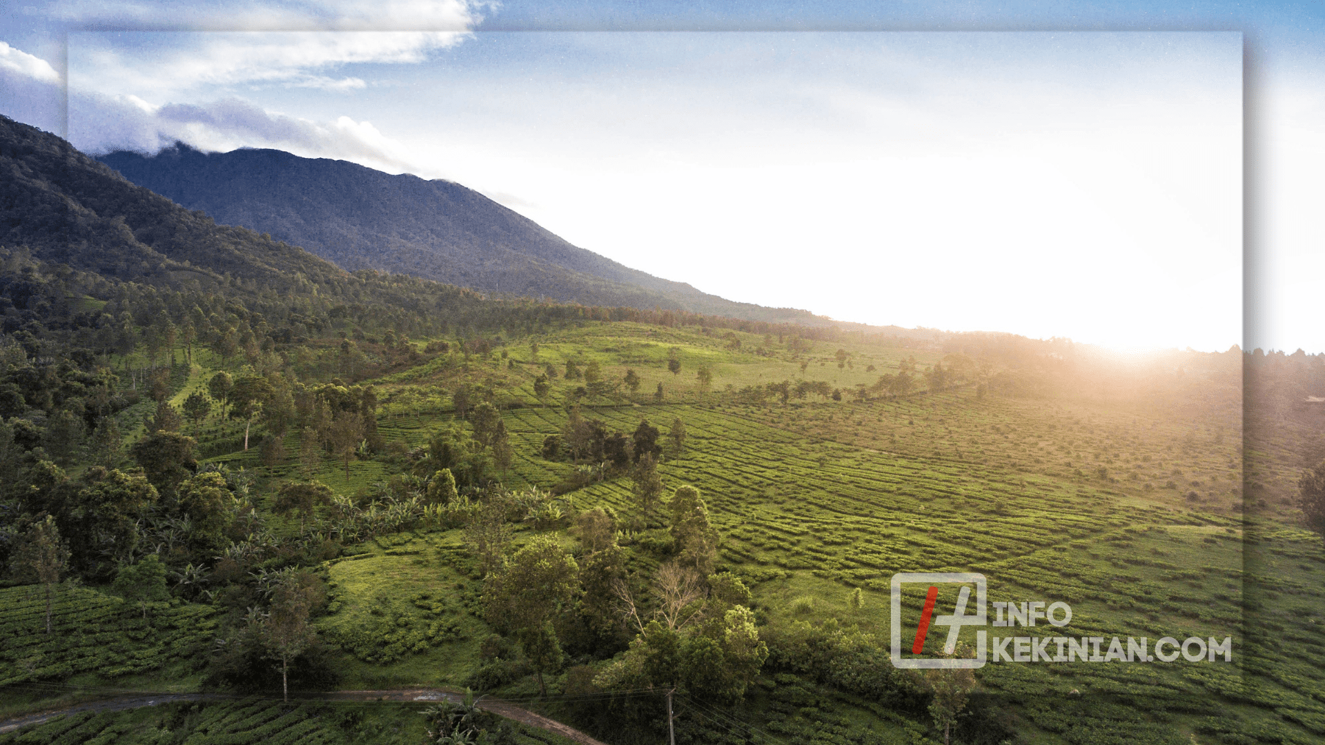 Petualangan Seru di Puncak