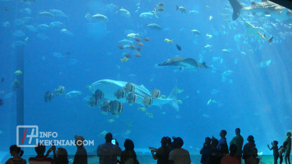 Contoh Ekosistem Buatan