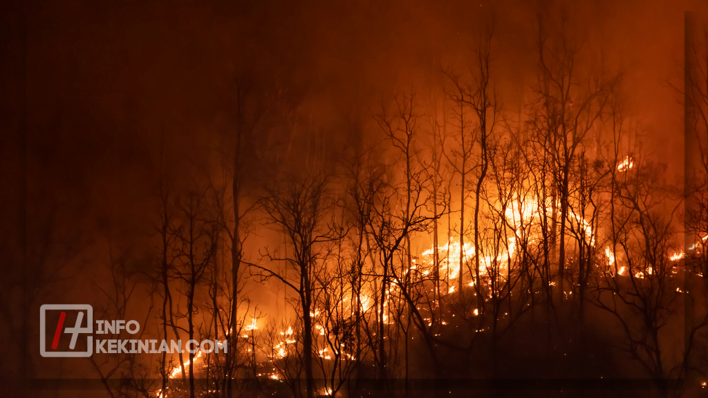 Ancaman terhadap Keanekaragaman Hayati