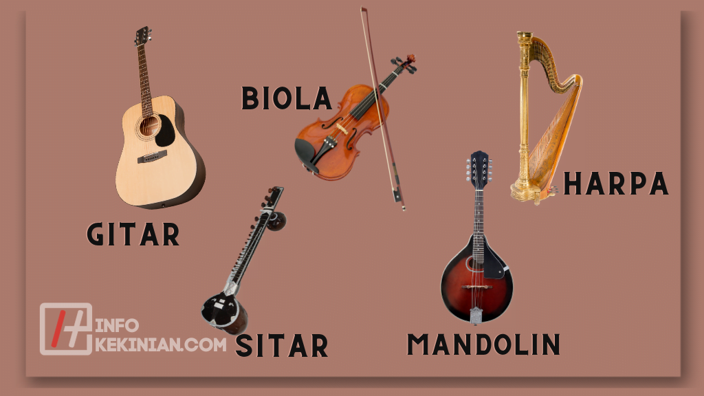 Contoh Alat Musik Petik