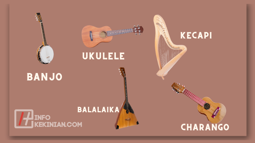 Fungsi Alat Musik Petik 