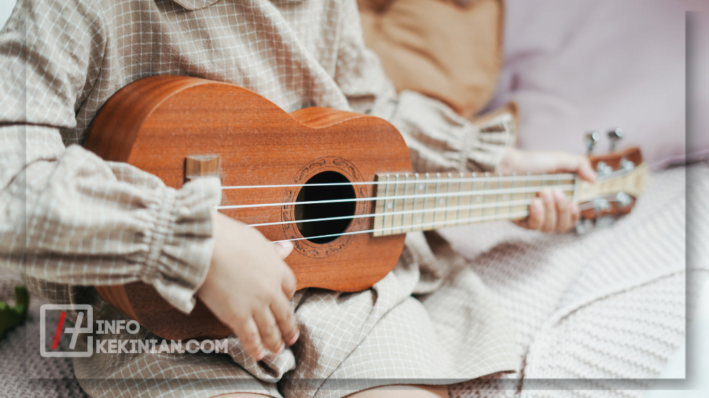 Karakteristik Alat Musik Petik