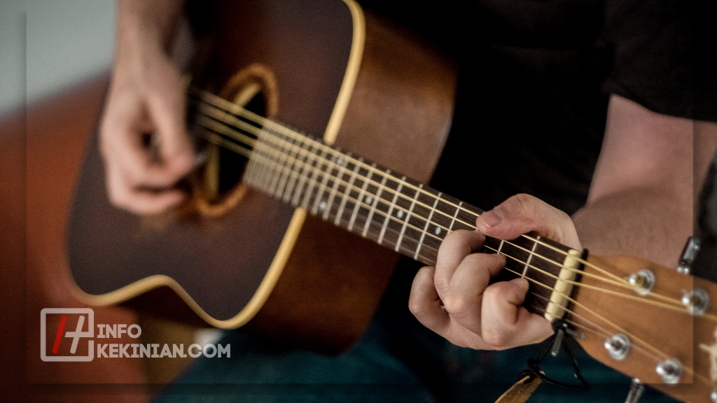 Pengertian Alat Musik Petik