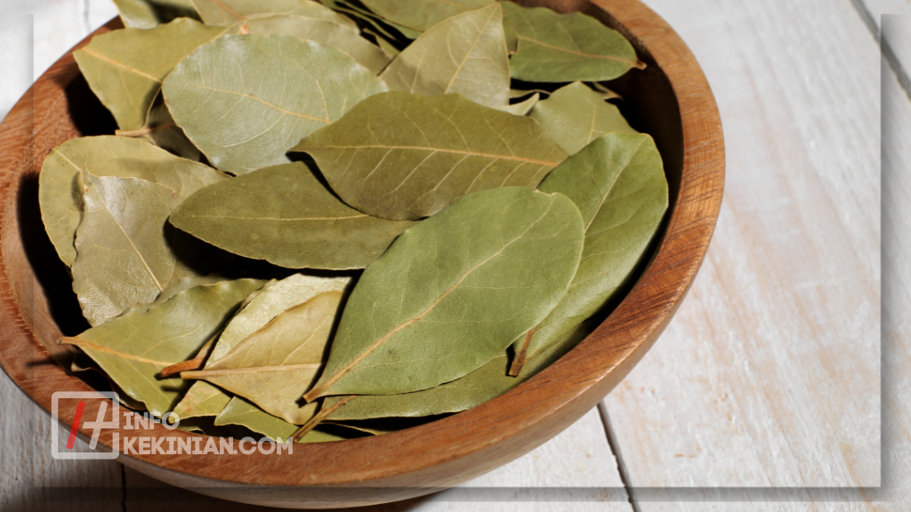 Cara Menggunakan Daun Salam untuk Kesehatan