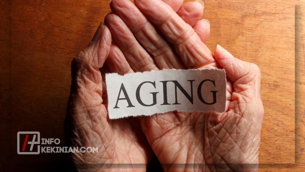 Pengertian Metabolisme: Proses, Jenis, Fungsi dan Faktornya yang Wajib Diketahui! 4 Jenis-jenis Metabolisme