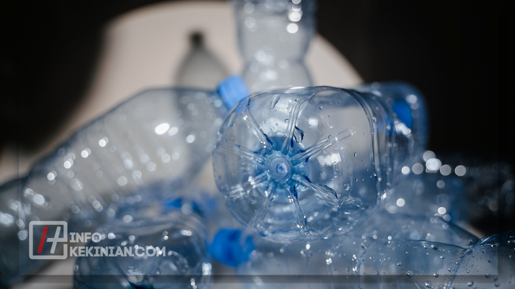 Kerajinan Botol Plastik Lebih dari Sekedar Sampah