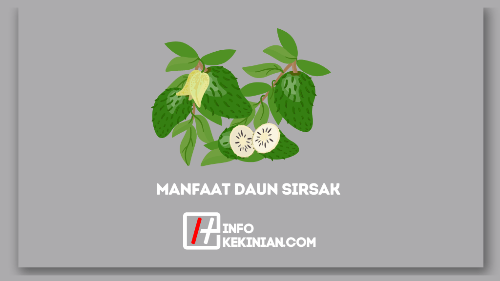 7 Manfaat Daun Sirsak Untuk Kesehatan Yang Wajib Diketahui!