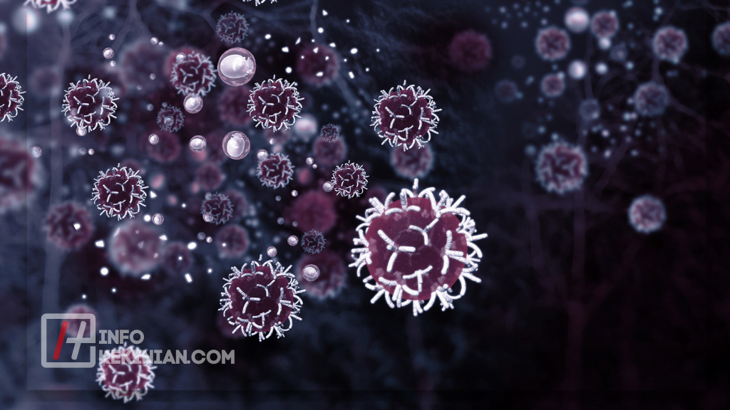 Pemahaman Tentang Peran dan Fungsi Sel Masing-Masing