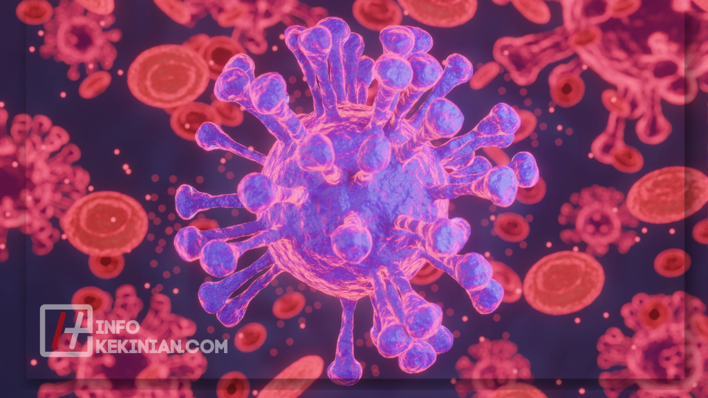 Struktur Sel Hewan dan Sel Tumbuhan