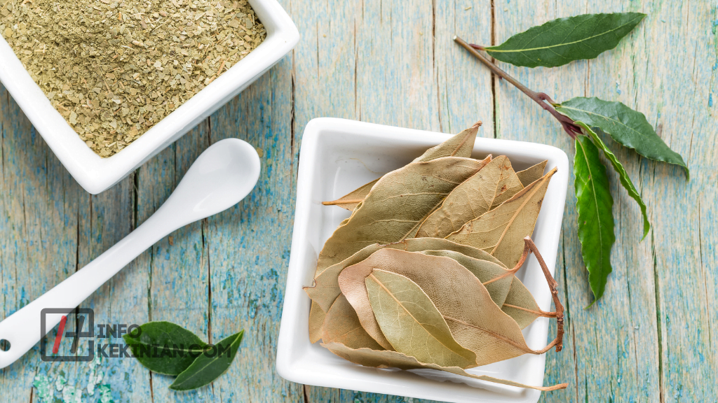 Sumber Nutrisi Daun Salam