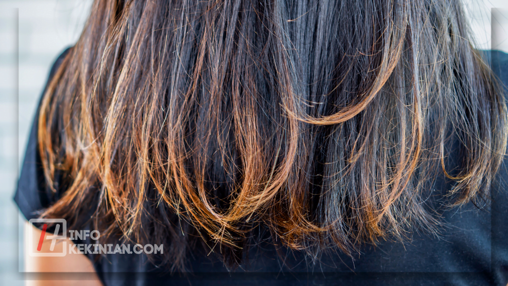 Tips Cara Mengatasi Rambut Kering dan Mengembang