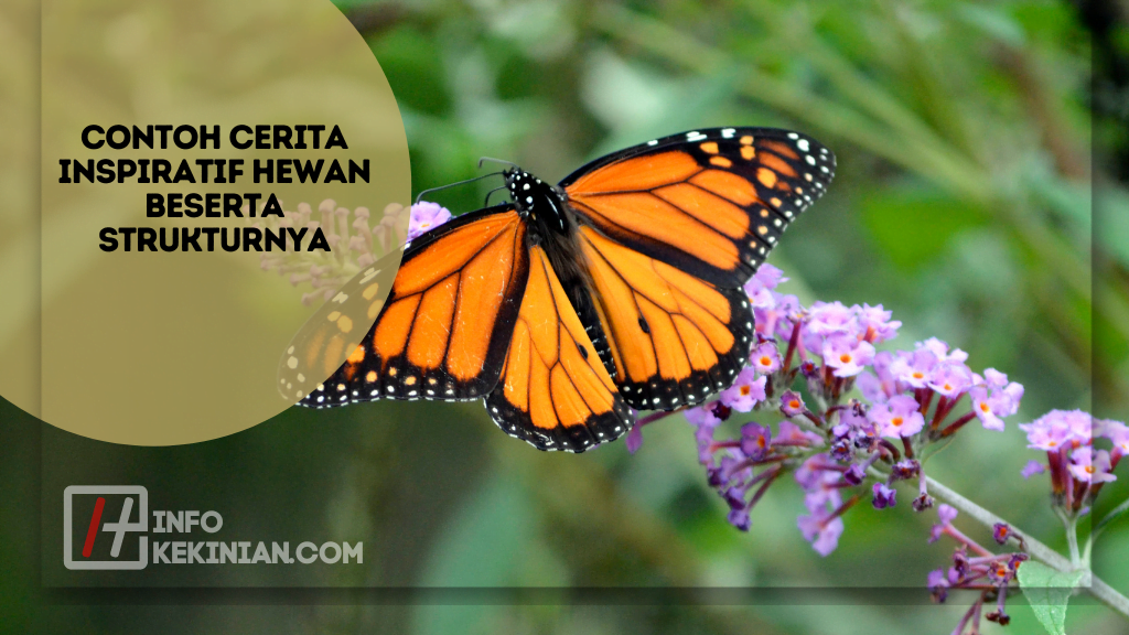 Contoh Cerita Inspiratif Hewan Beserta Strukturnya