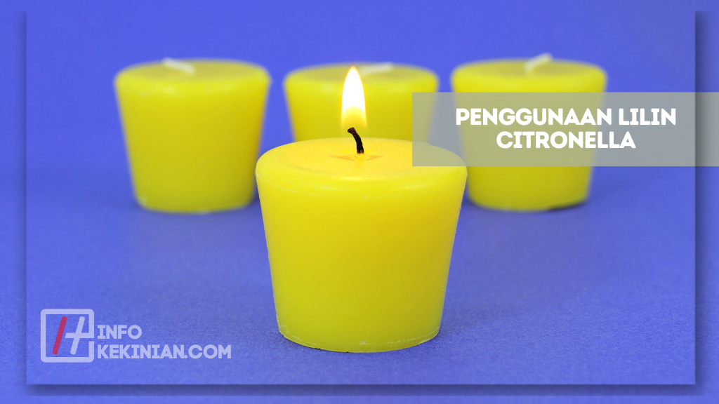 20 Cara Mengusir Lalat di Siang Hari Mudah, Cepat, dan Ampuh Wajib Dicoba! 3 Penggunaan Lilin Citronella