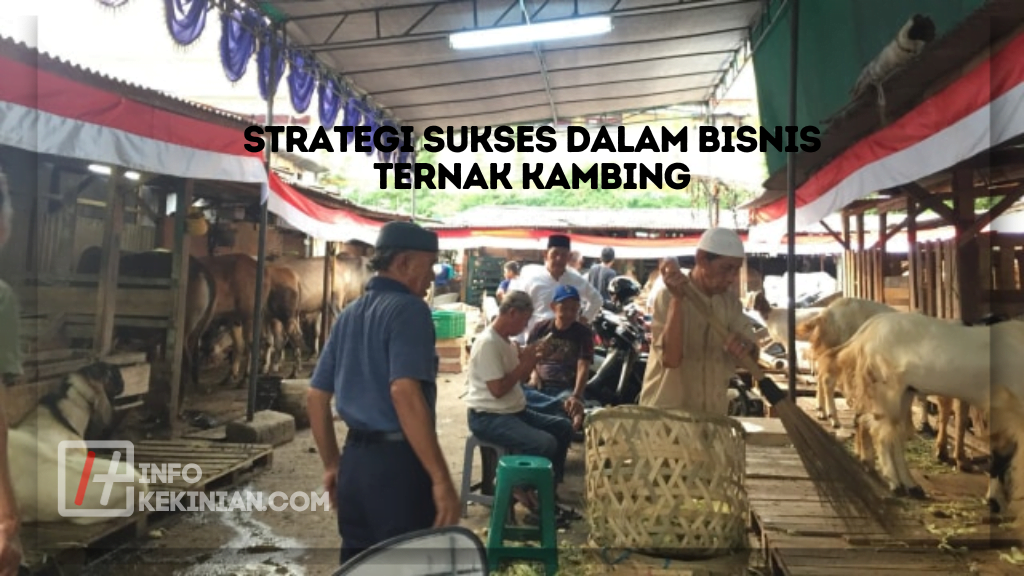 Strategi Sukses dalam Bisnis Ternak Kambing