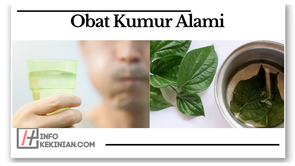 Manfaat Daun Sirih untuk Kesehatan