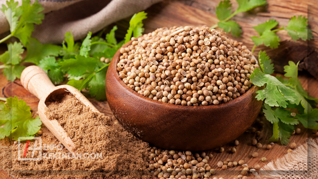 Manfaat Ketumbar untuk Kesehatan