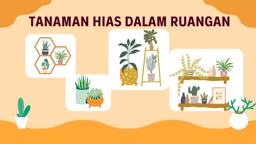 Rekomendasi Tanaman Hias Dalam Ruangan
