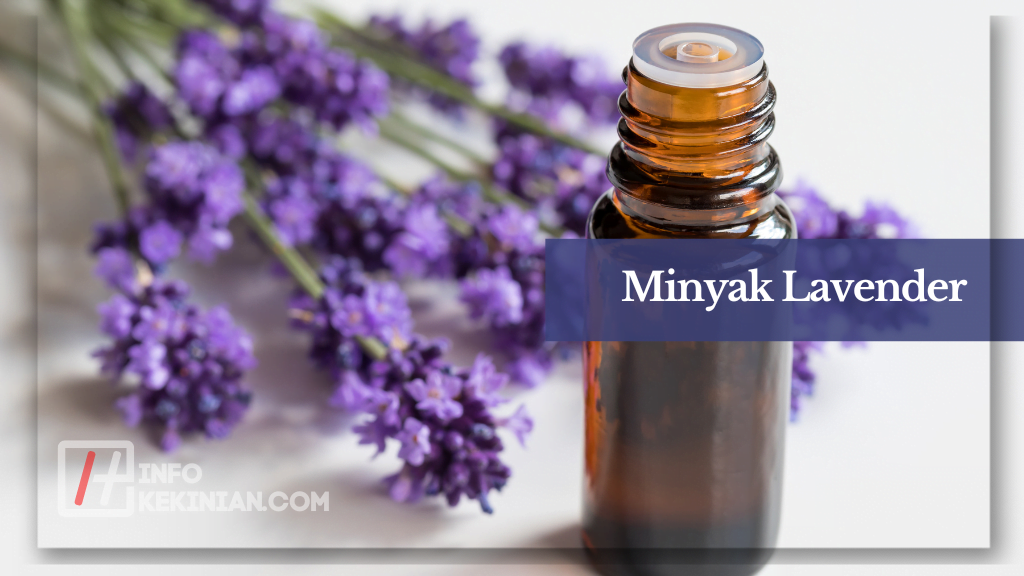 Cara Menghilangkan Bekas Luka di Kaki dengan Obat Alami