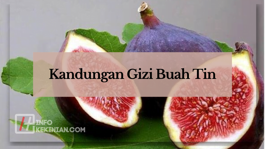 Kandungan gizi buah tin