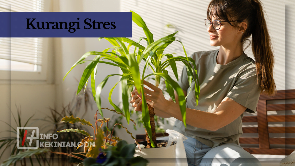 Kebiasaan Sehat untuk Mengurangi Obesitas