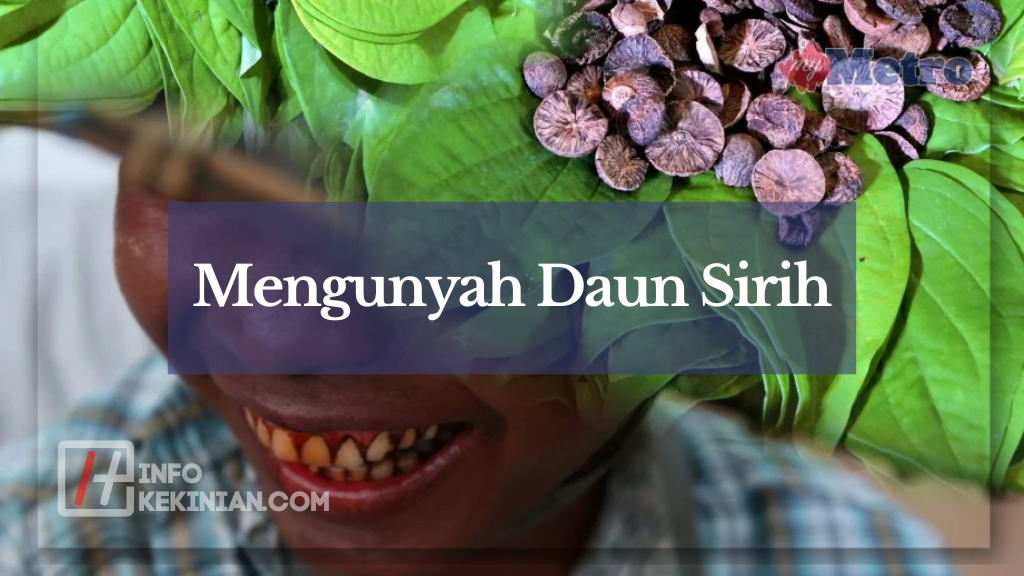 9 Cara Memutihkan Gigi Kuning Secara Alami dan Cepat 2 Mengunyah Daun Sirih