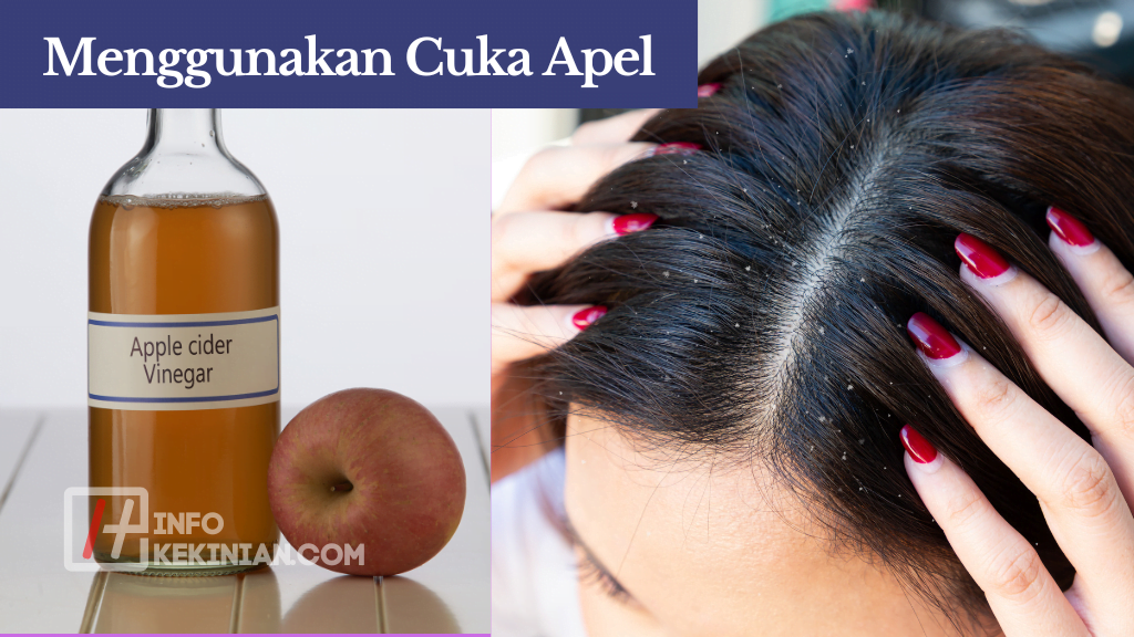 Tips Perawatan Rambut dengan Bahan Alami