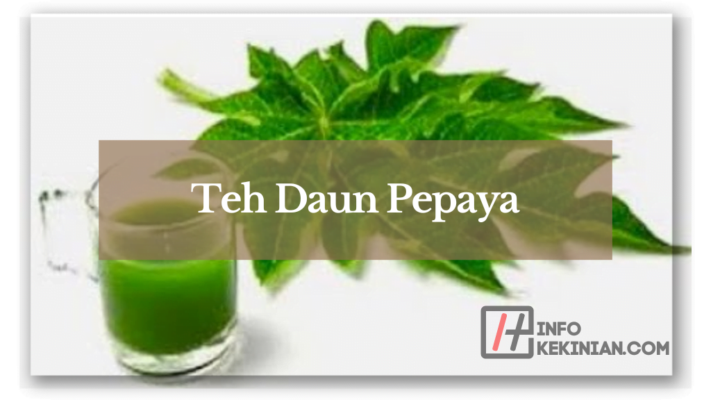 Cara Mengolah Daun Pepaya