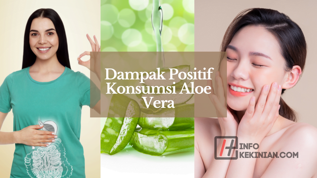 Dampak Positif Konsumsi Aloe Vera