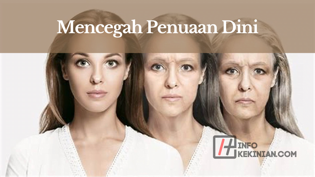 Manfaat Lidah Buaya untuk Kesehatan dan Kecantikan