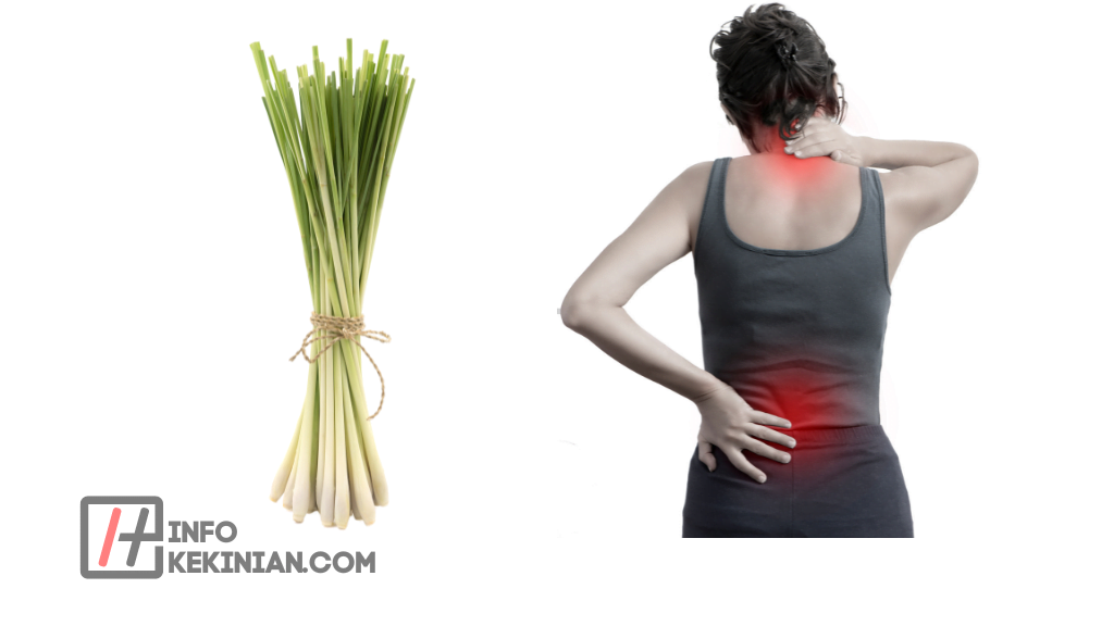 Manfaat Sereh untuk Kesehatan Tubuh