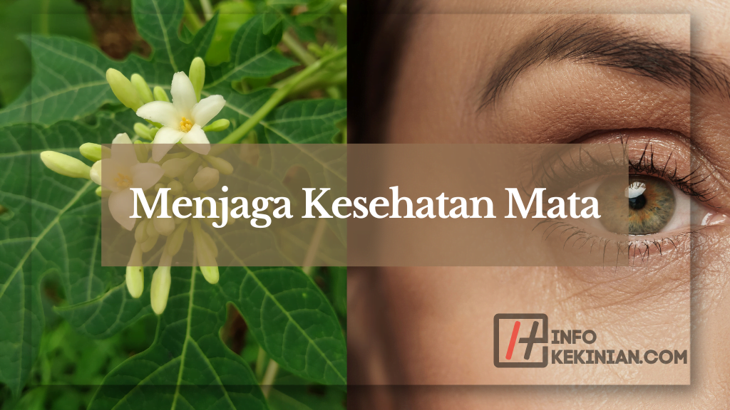 Menjaga Kesehatan Mata