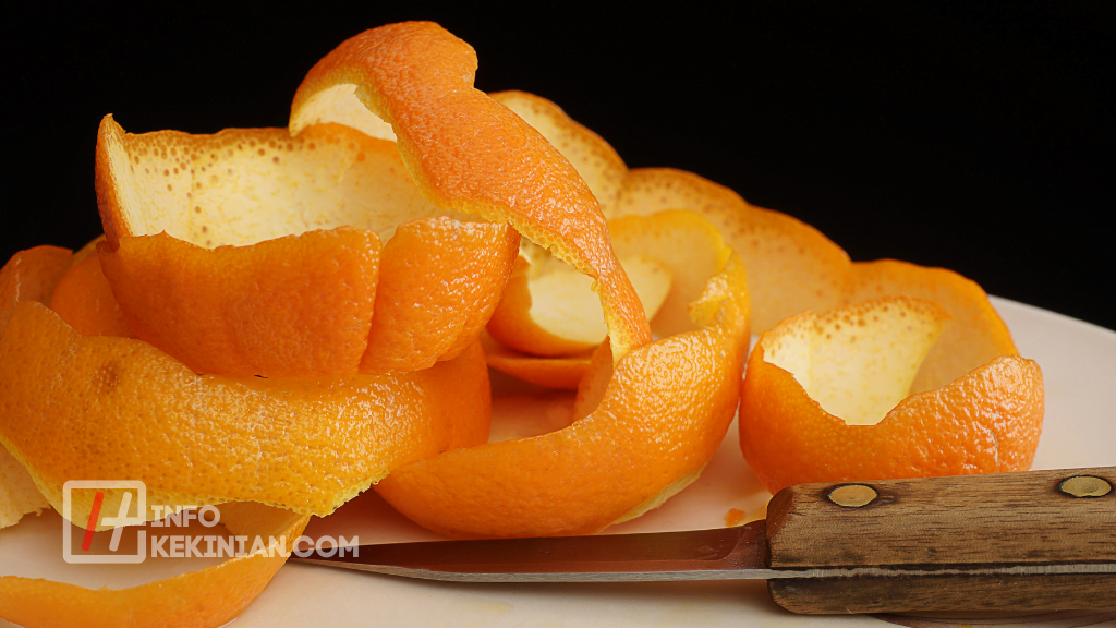 9 Cara Mengusir Semut Hitam di Rumah secara Alami dan Ampuh 2 Tips Cara Mengusir Semut Hitam di Rumah