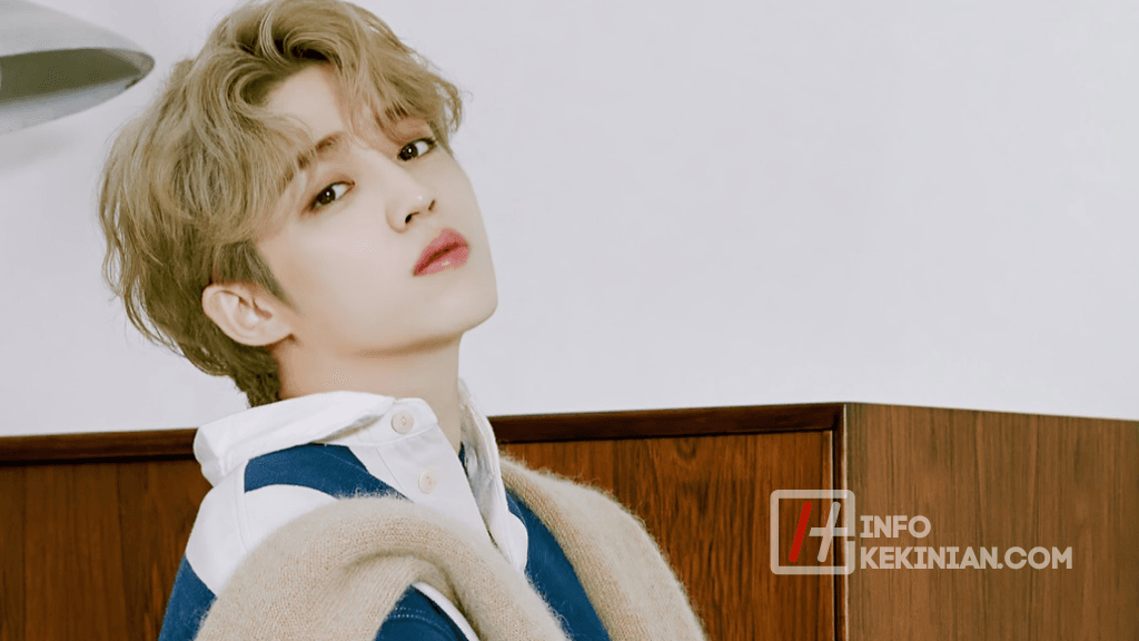 Biodata Member Seventeen: Profil Lengkap Idol Favoritmu, Wajib Diketahui! 2 biodata member seventeen S. Coups